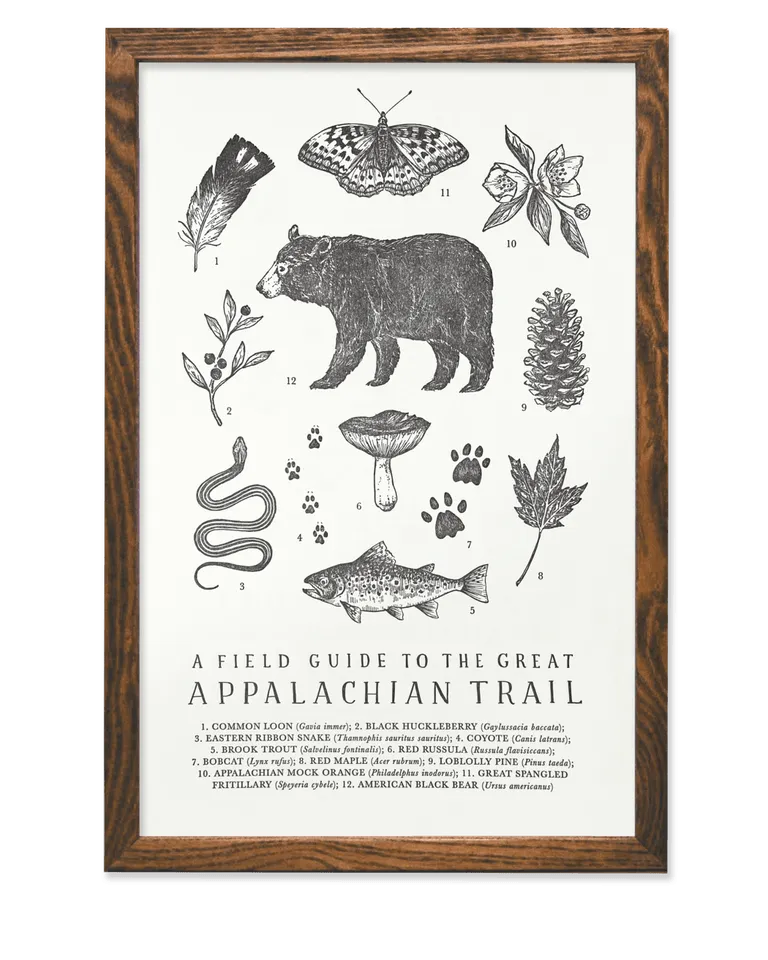 Appalachian Trail Guide Poster