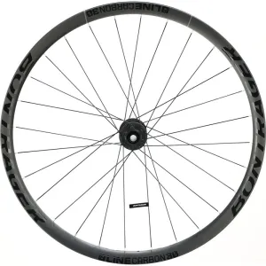 Bontrager Line Carbon 30 Front Wheel, 29" Boost 110mm Disc