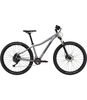 Cannondale Trail 5 Medium 29" (Silver/Lavender)