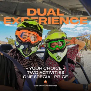 Dual Experience