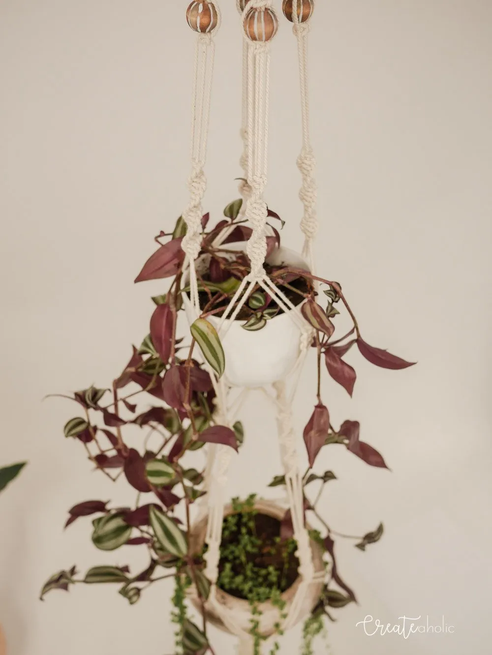 Macramé plant hanger, "Jungle Trail"