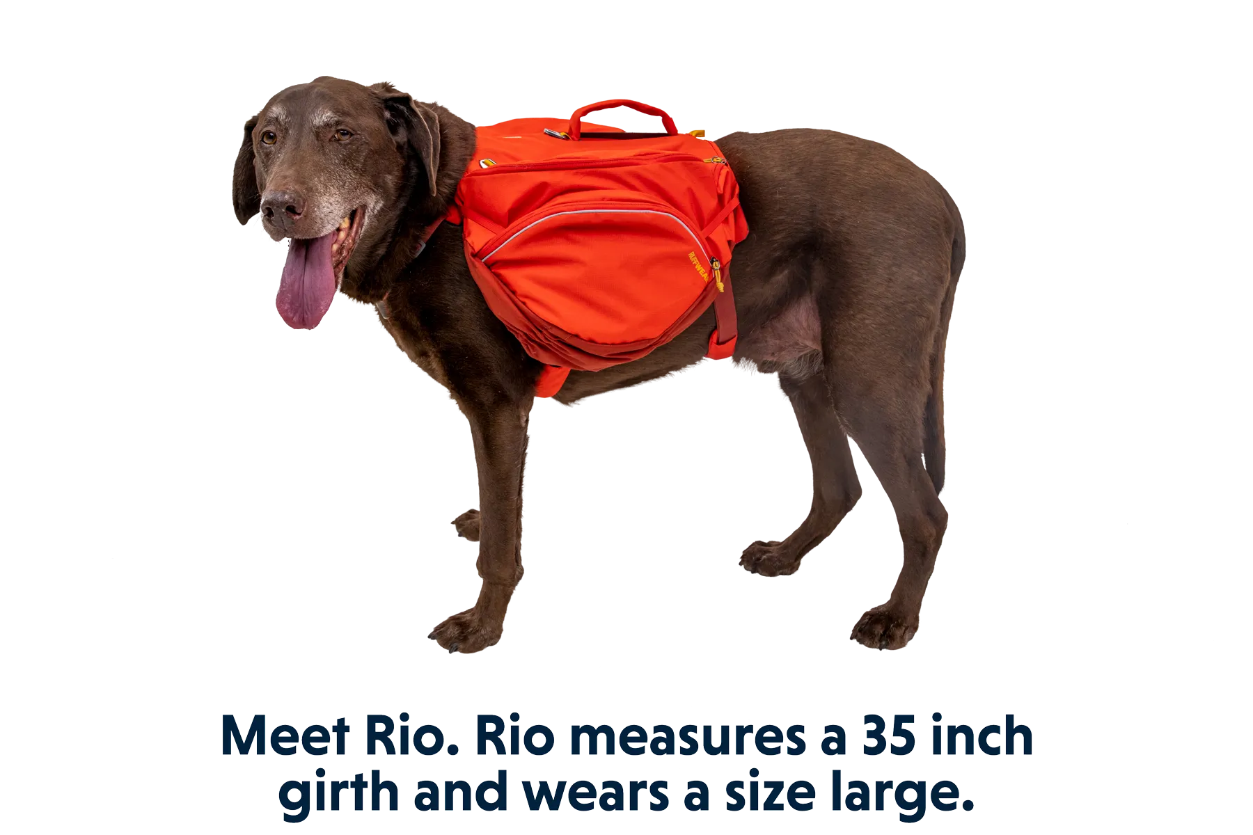 Palisades™ Dog Backpack