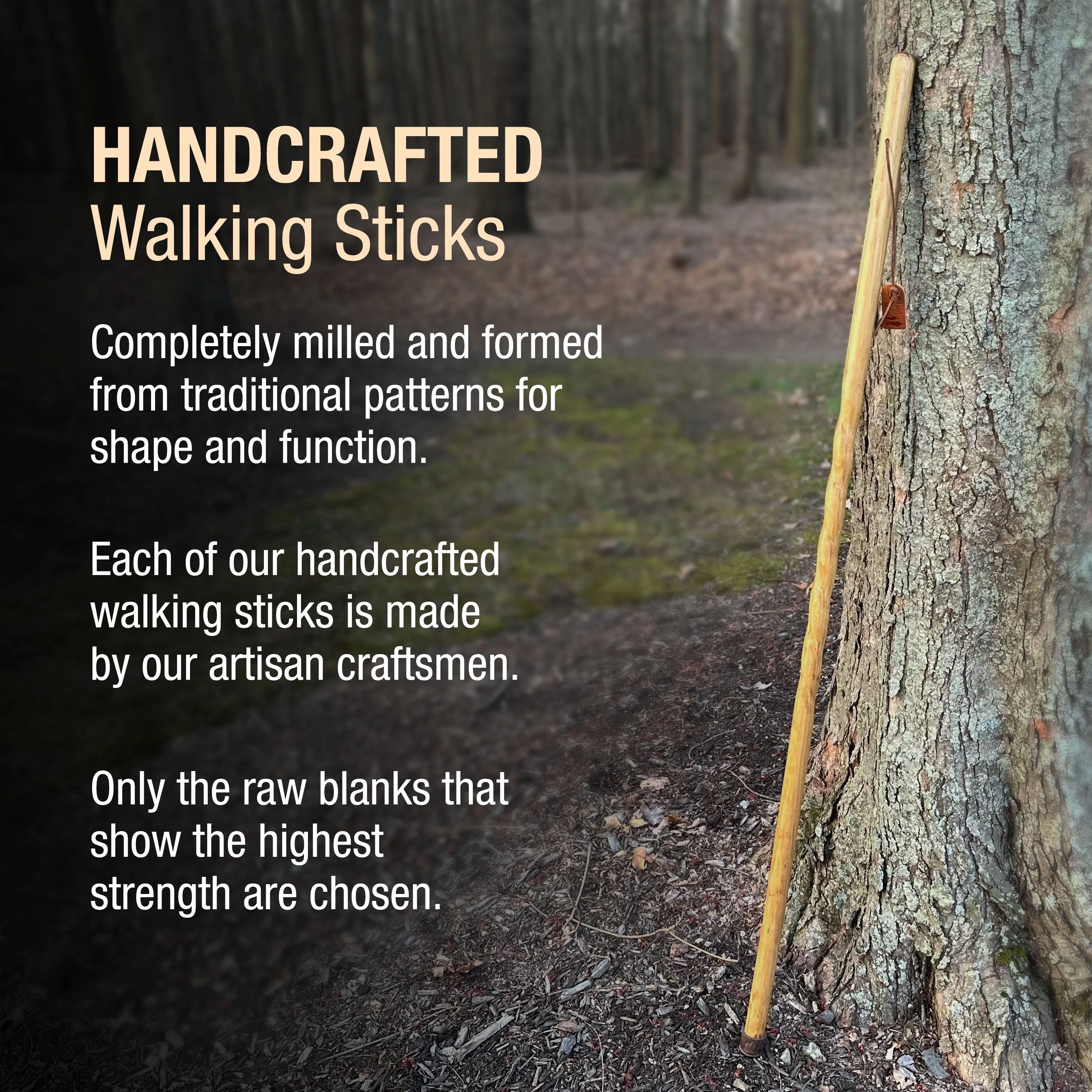 Twisted Trail Blazer Handcrafted Walking Stick, 55"